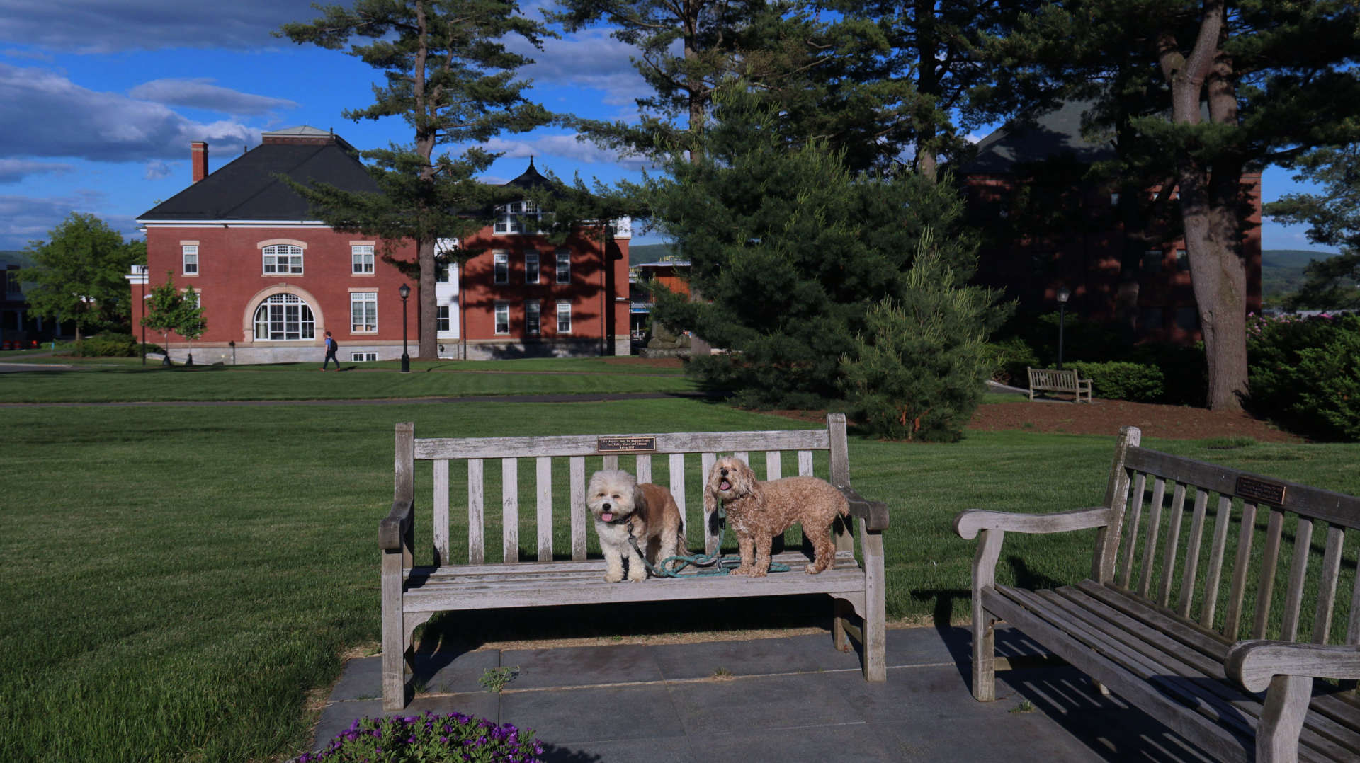 Amherst112