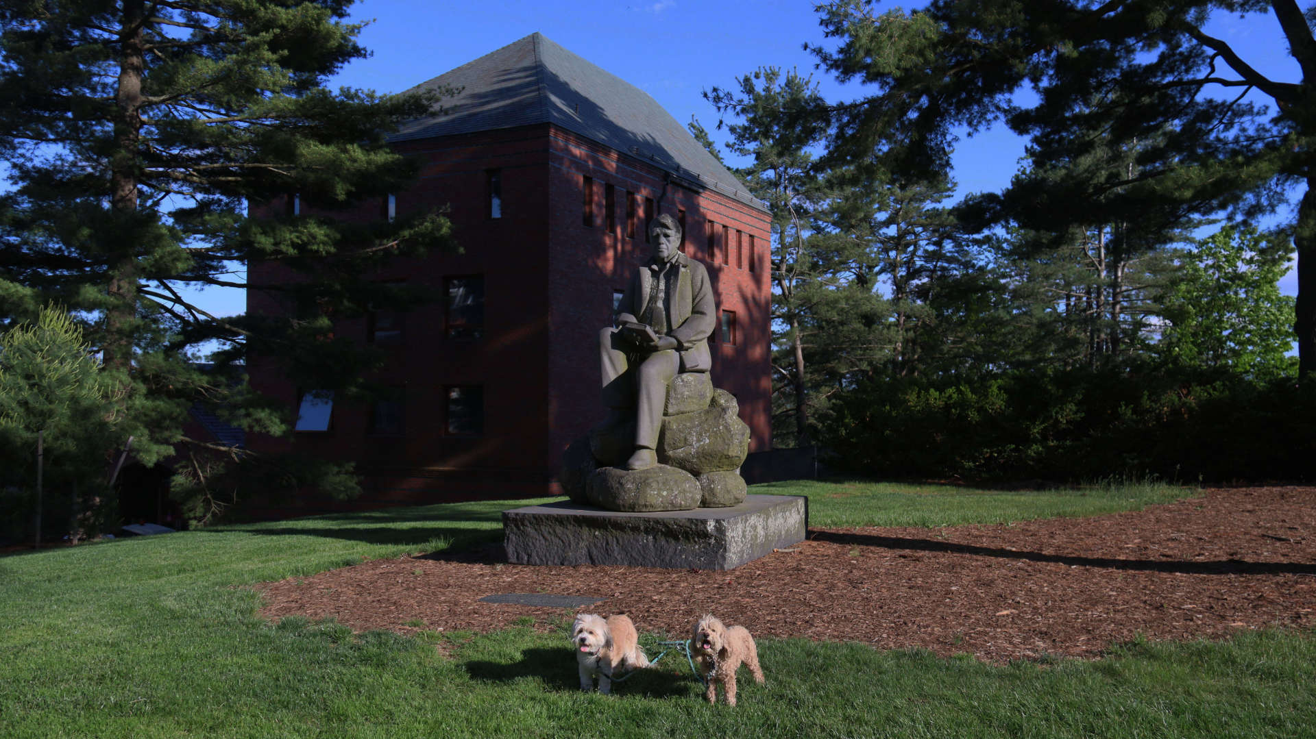Amherst113