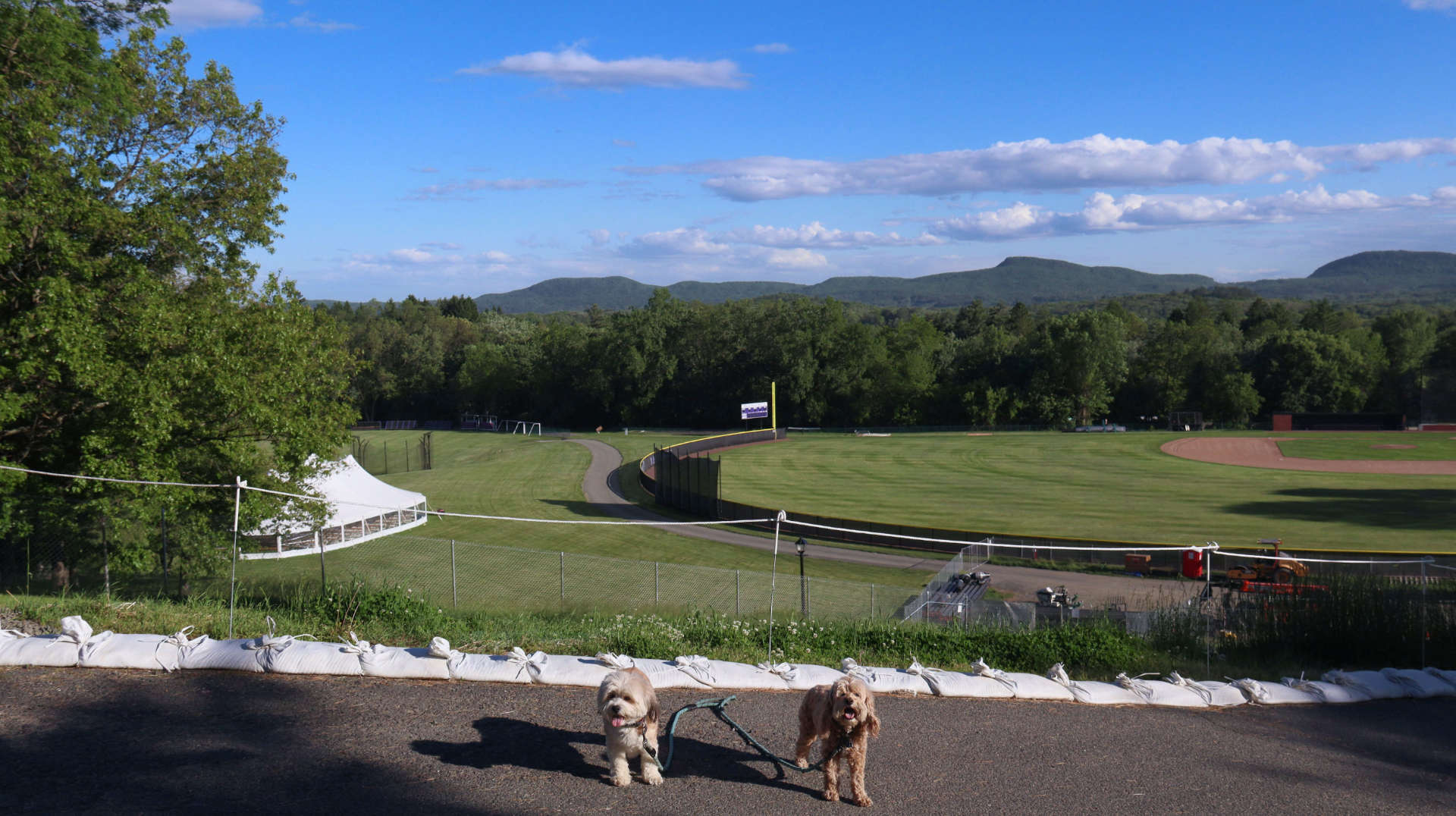 Amherst115