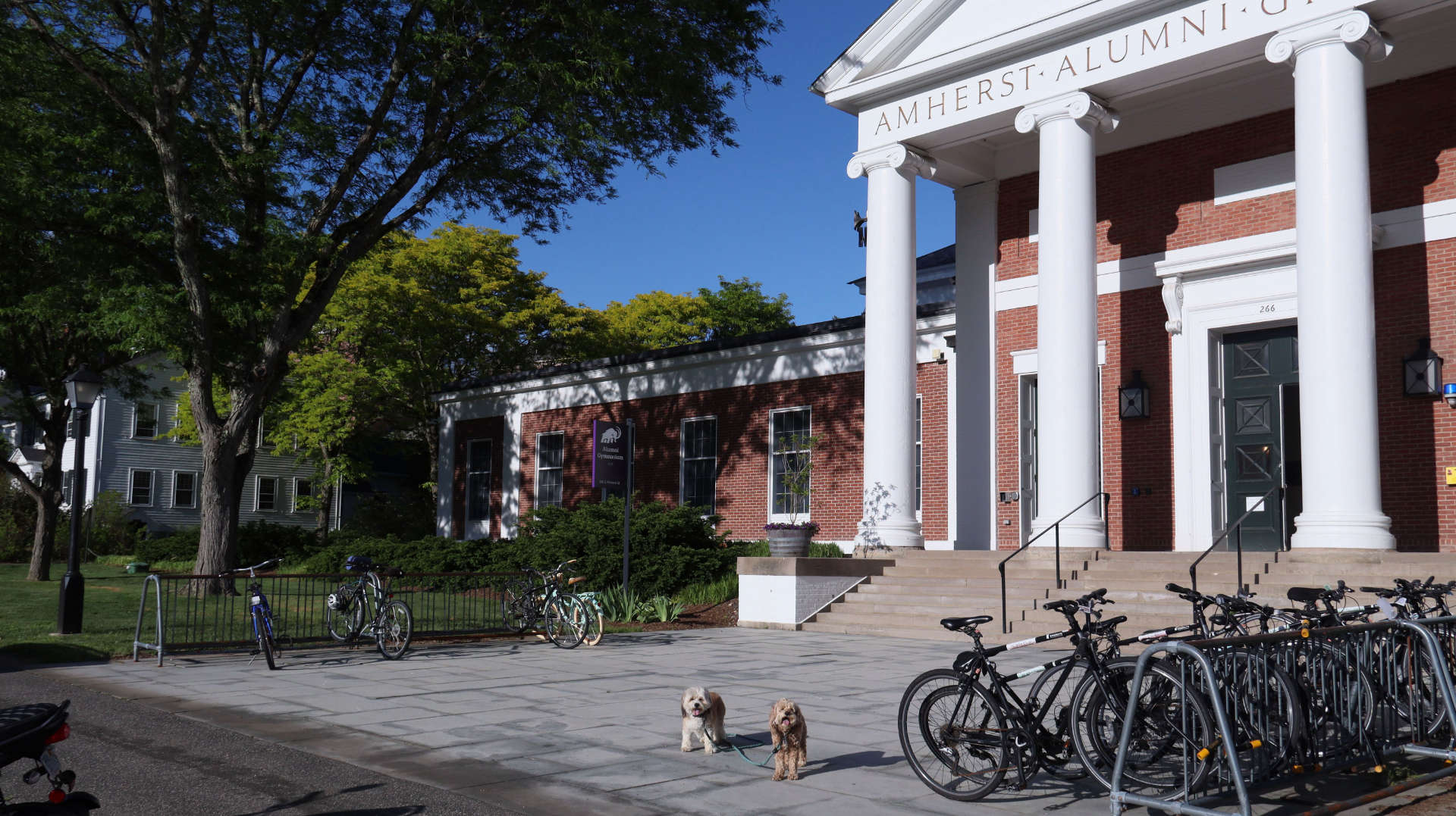 Amherst118
