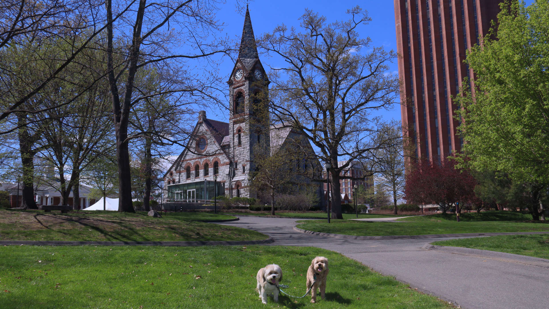Amherst63