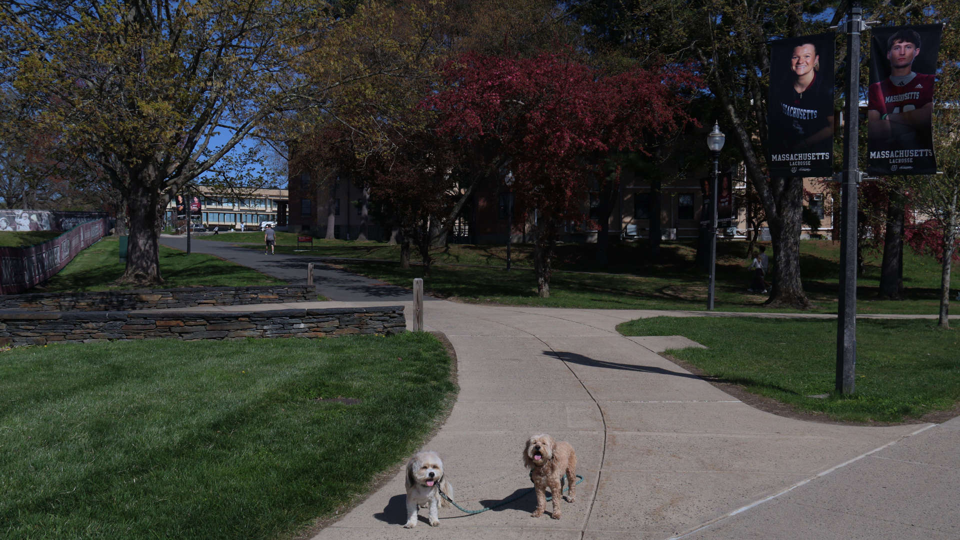 Amherst92