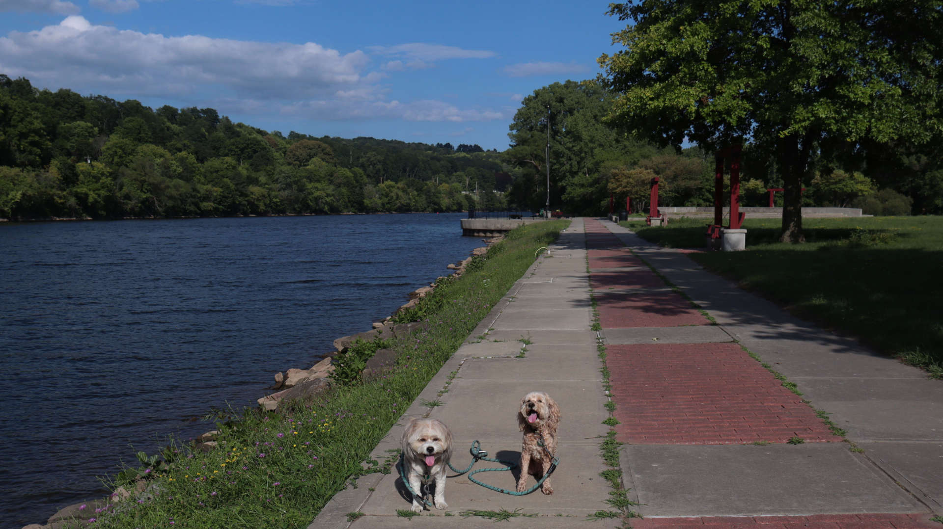 Canajoharie2