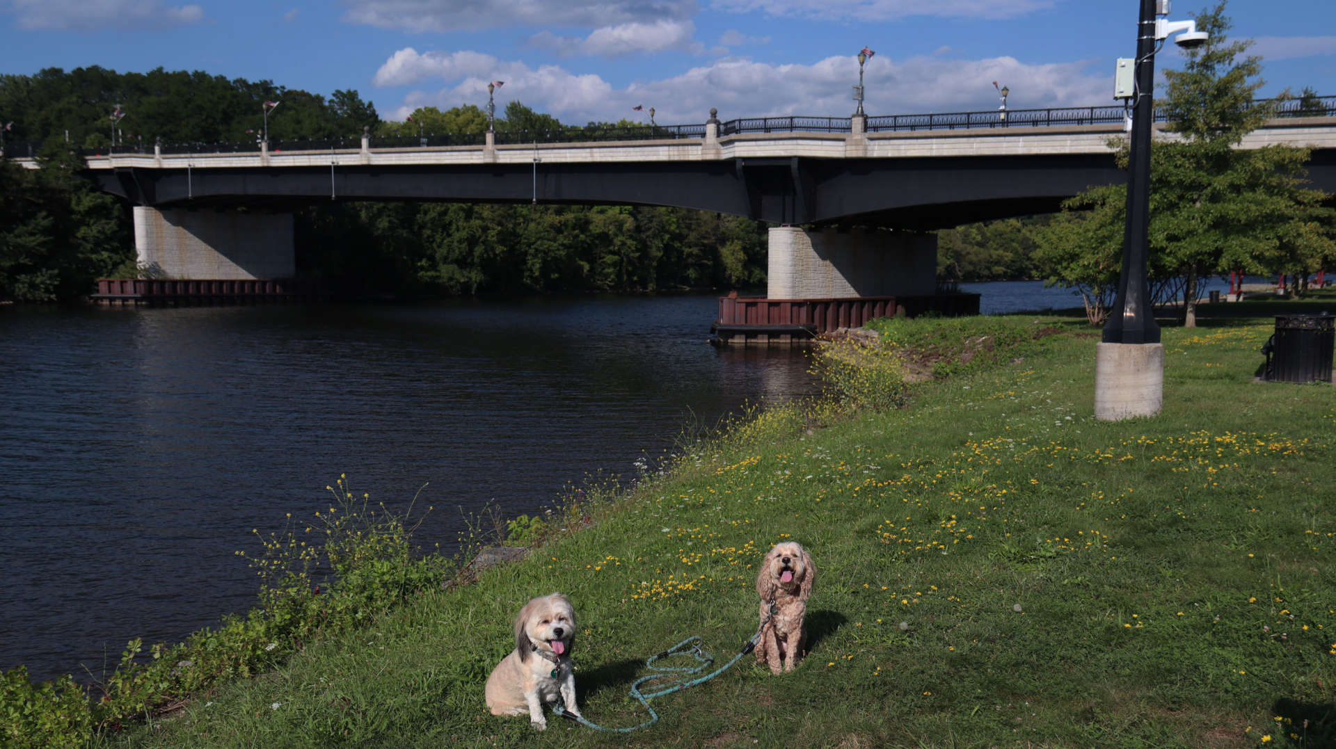 Canajoharie3