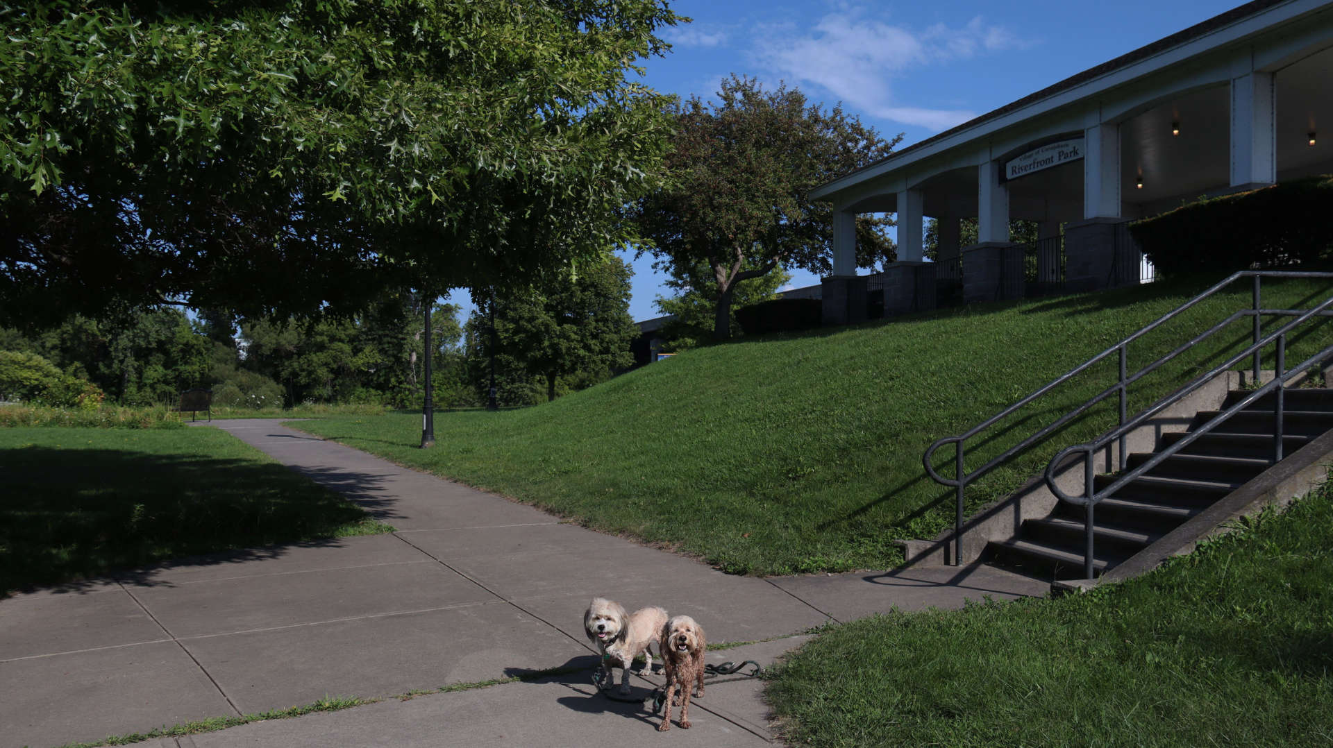Canajoharie6