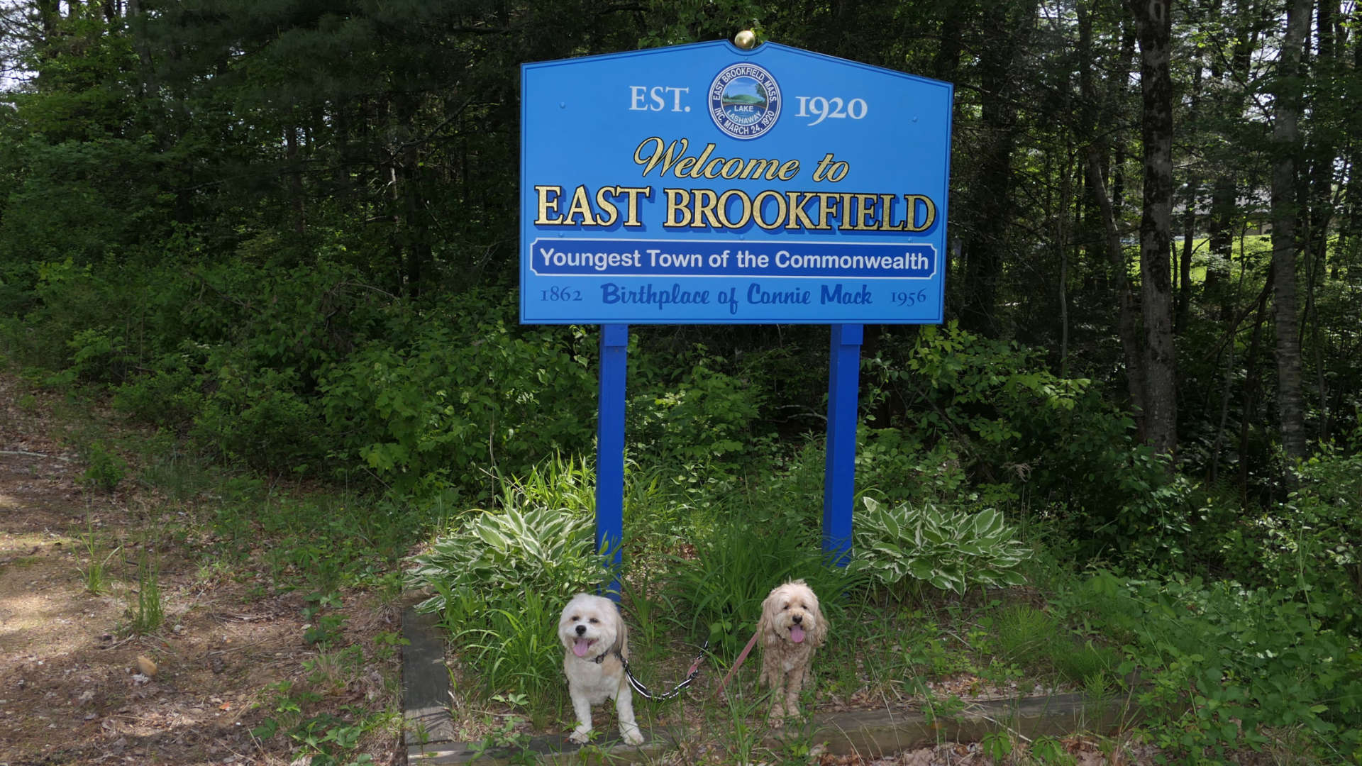 East_Brookfield9