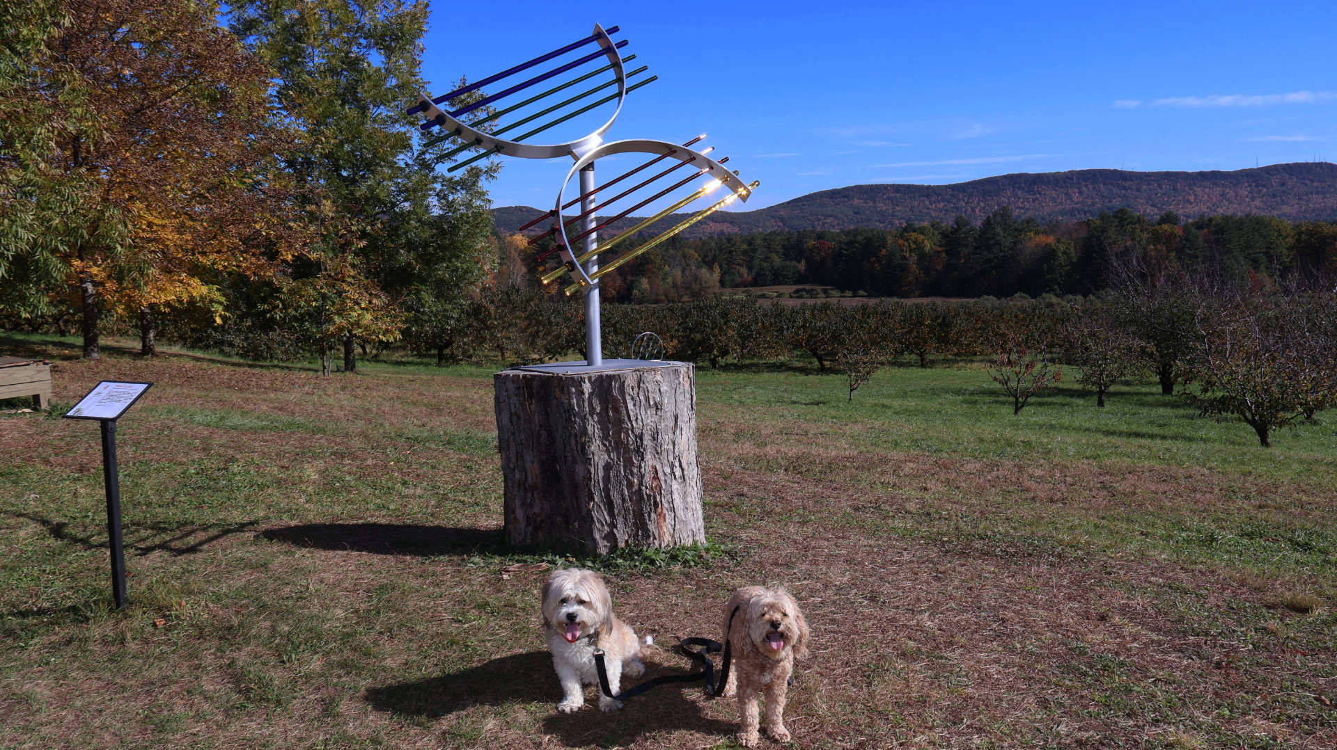 Easthampton67