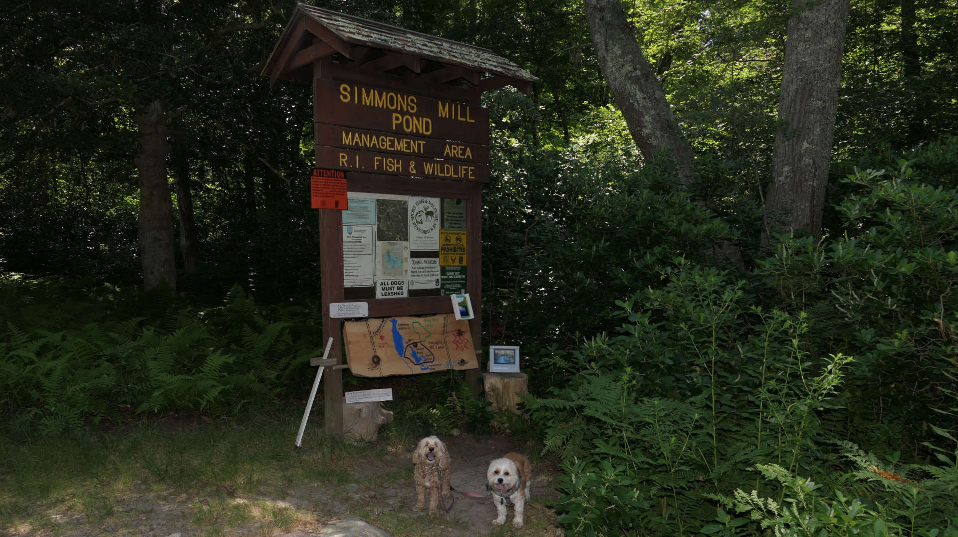 Simmons Mill Pond Management Area