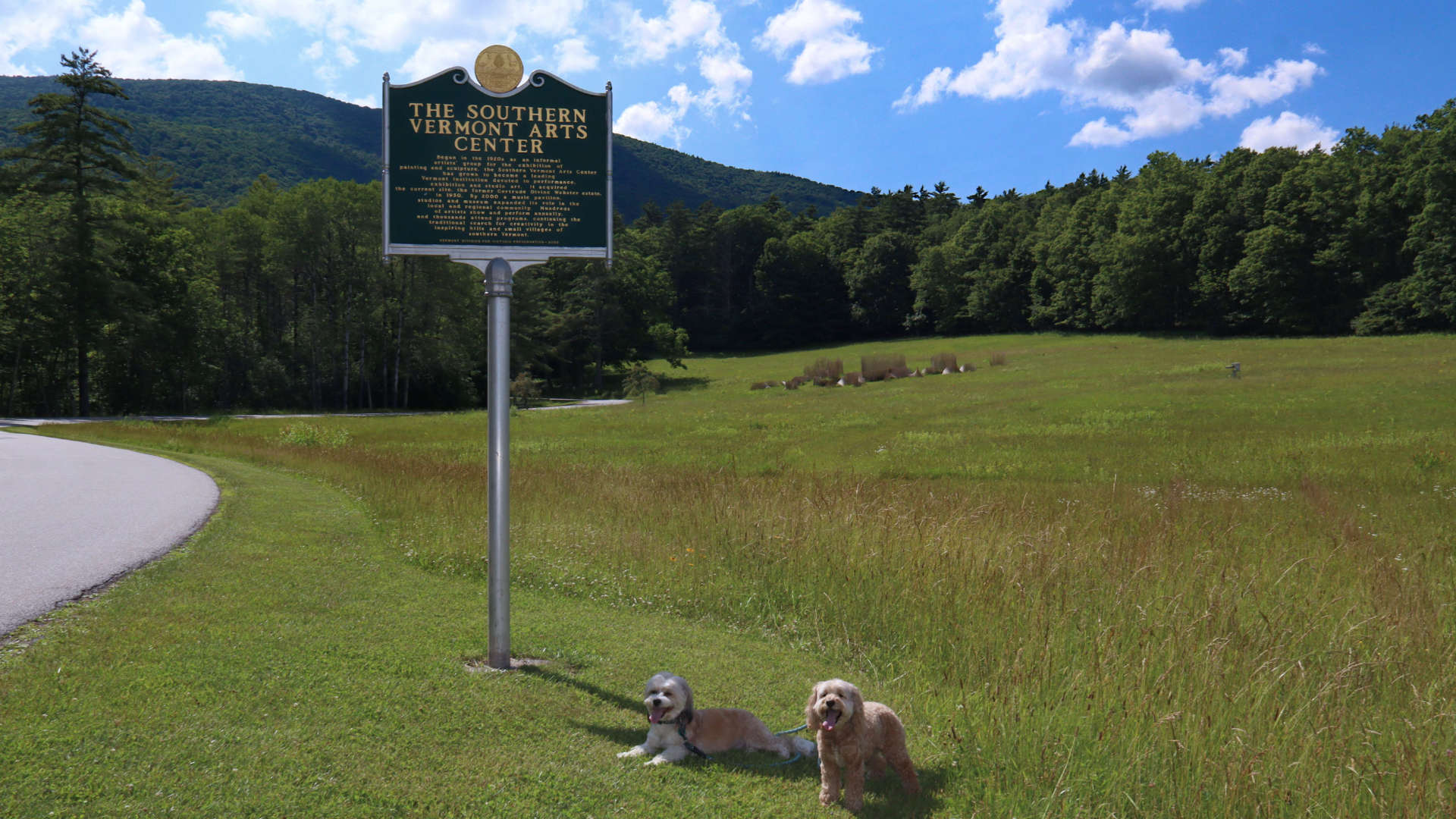 ManchesterVT20