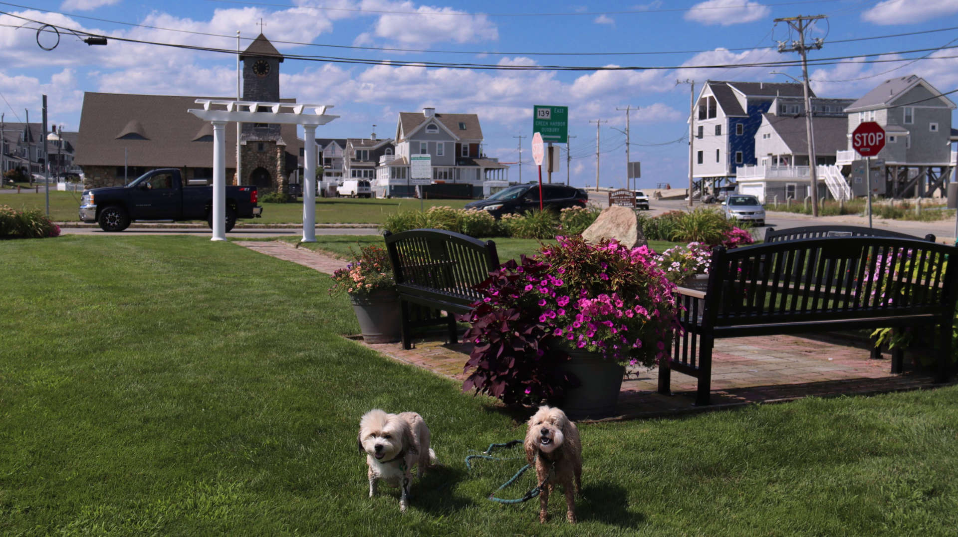 Marshfield58