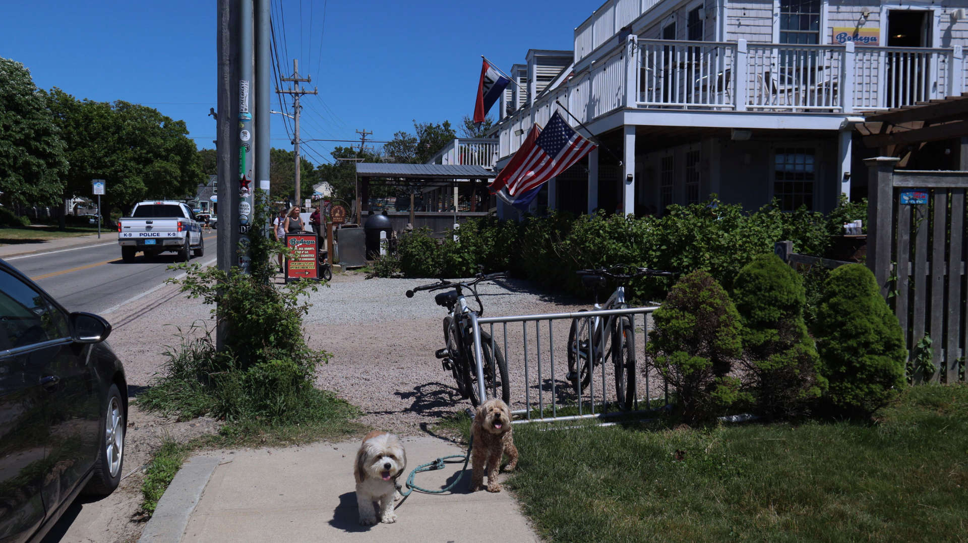 New_Shoreham191