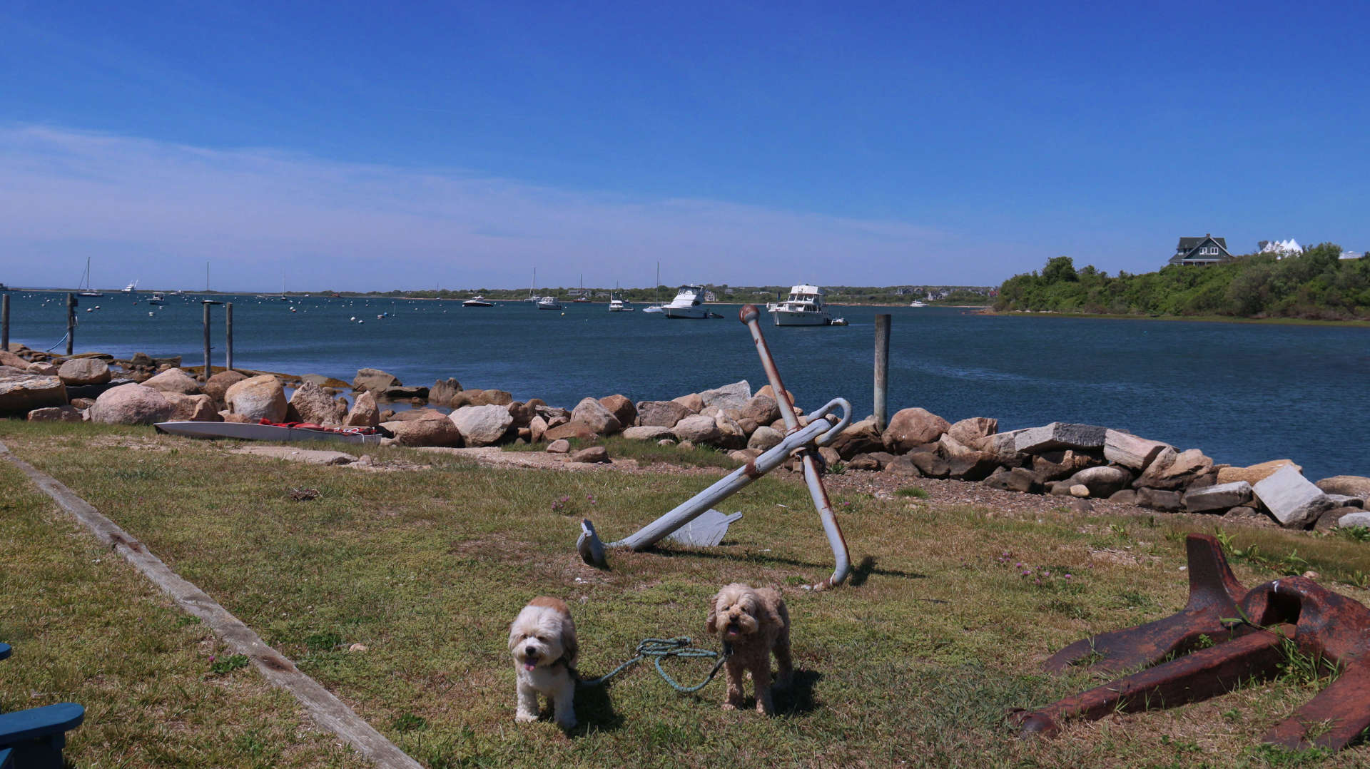 New_Shoreham201