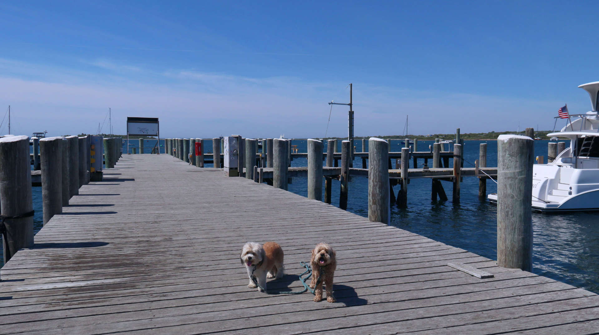 New_Shoreham206