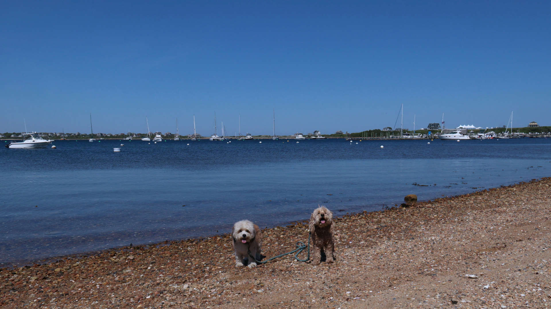 New_Shoreham215