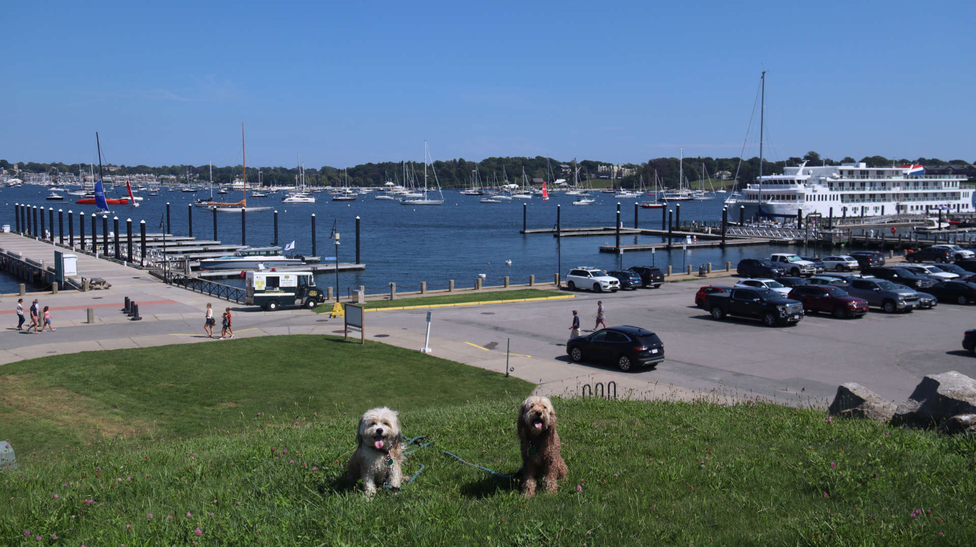 Newport598