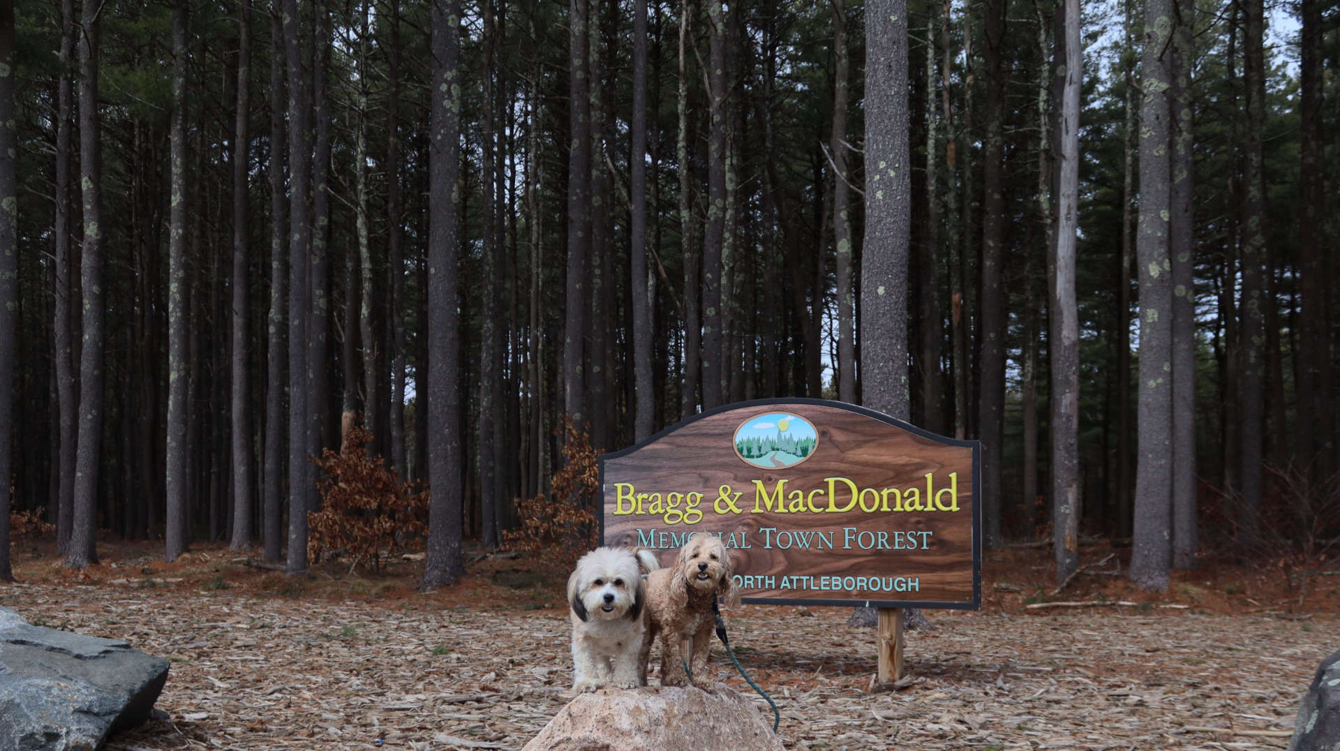 North_Attleborough22