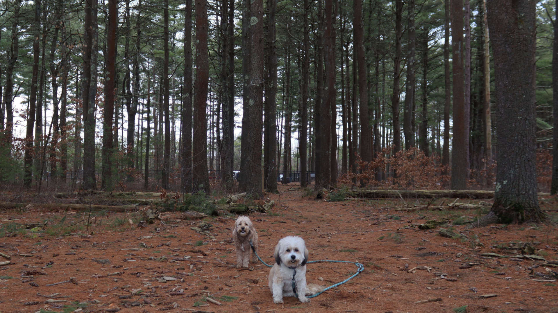 North_Attleborough28