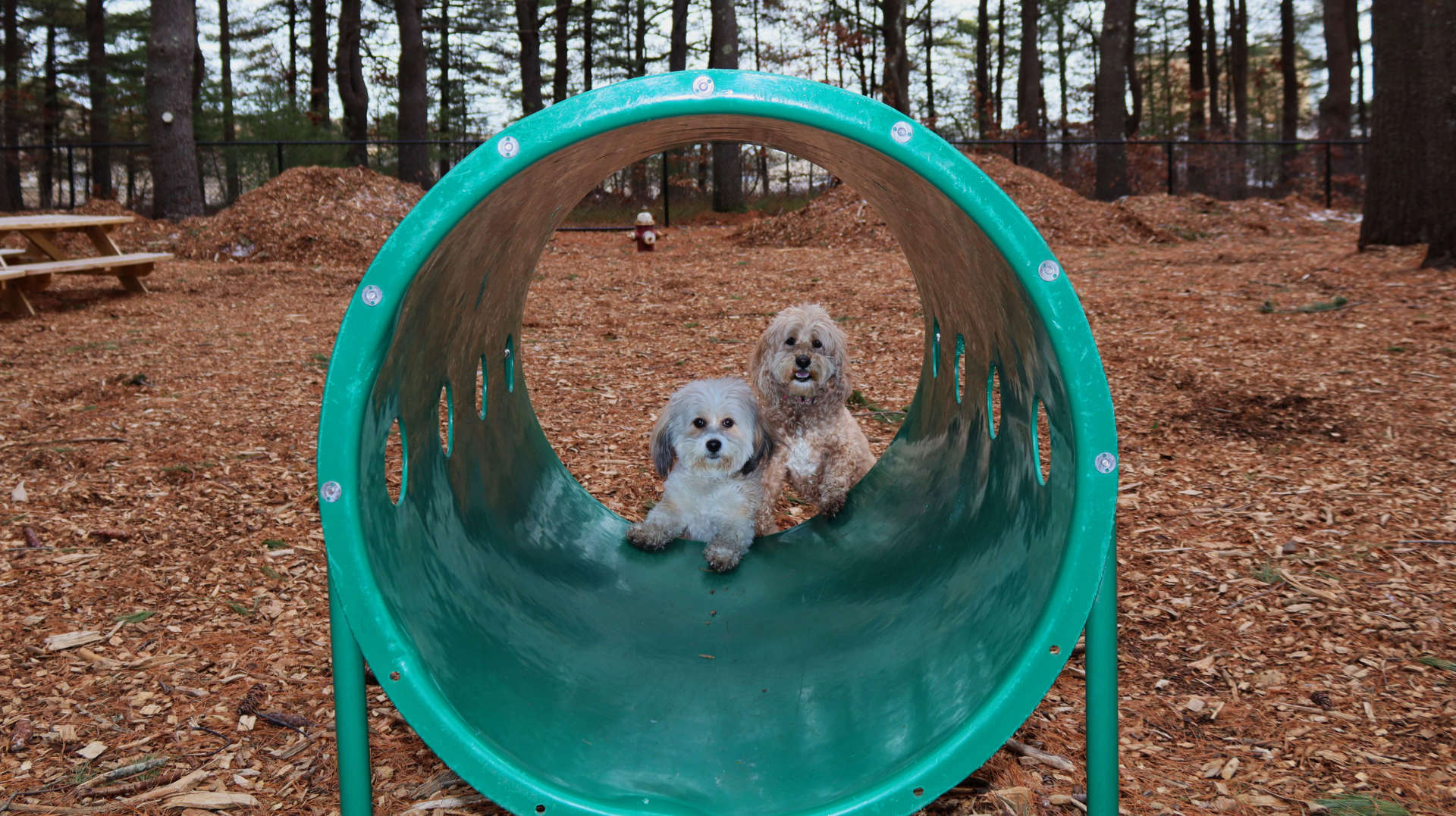 North_Attleborough29