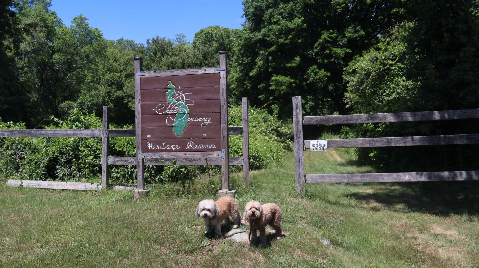 Portsmouth237