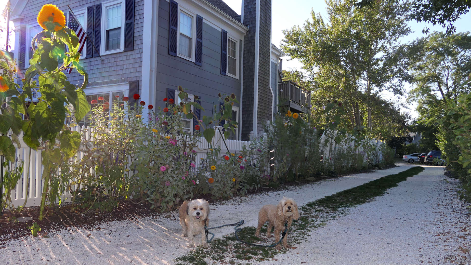 Provincetown112