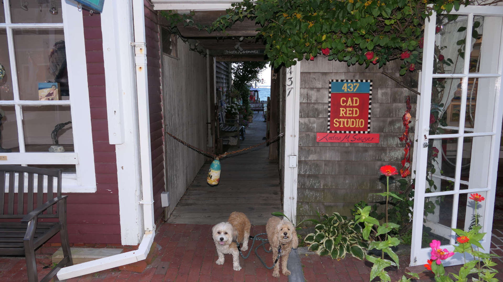 Provincetown114