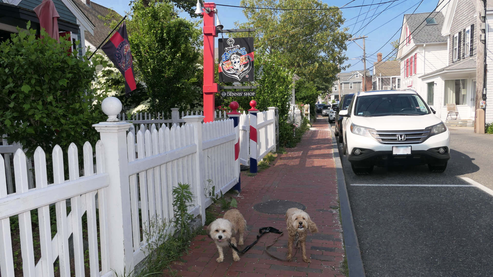 Provincetown65