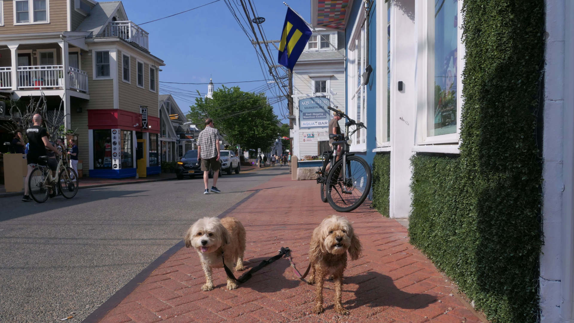 Provincetown66