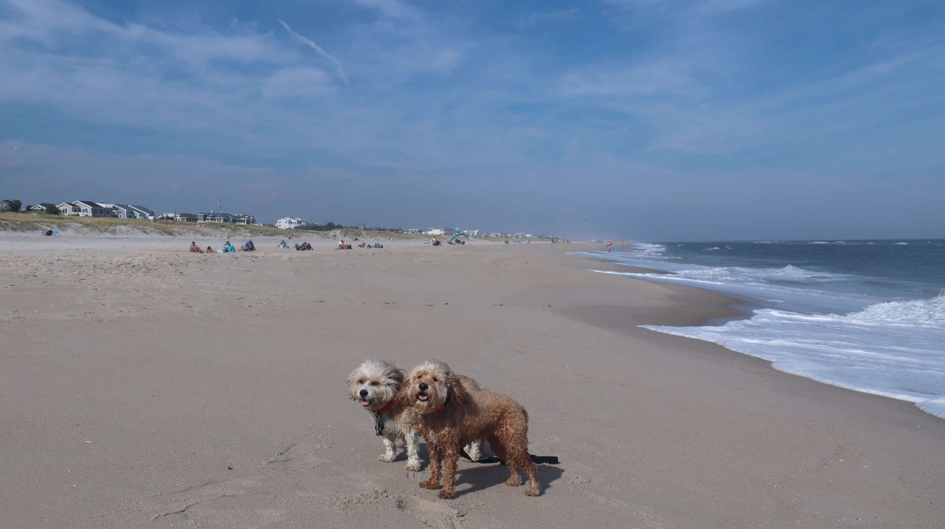 Ship_Bottom11