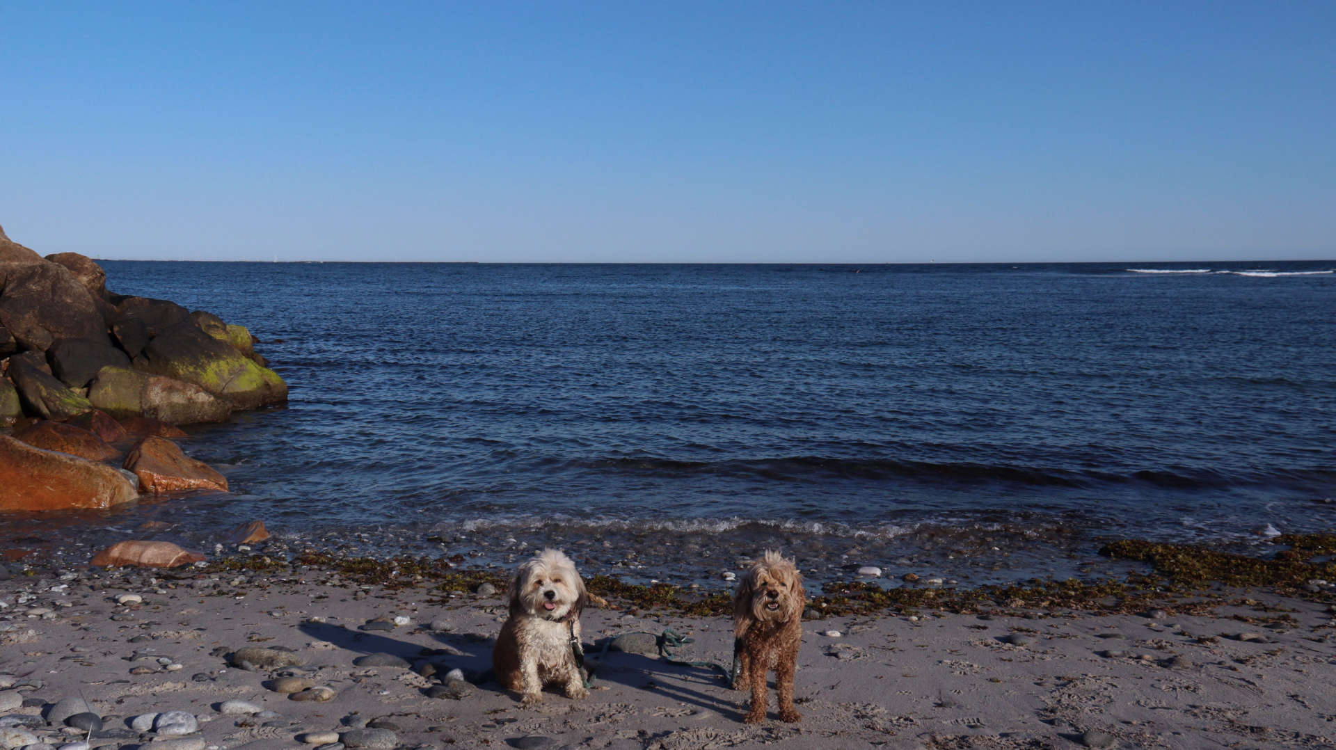 South_Kingstown734