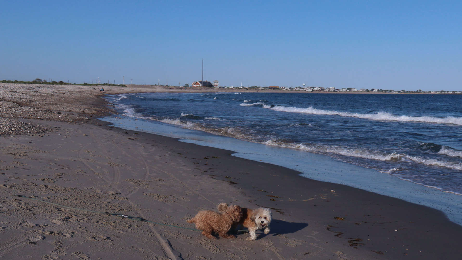 South_Kingstown741