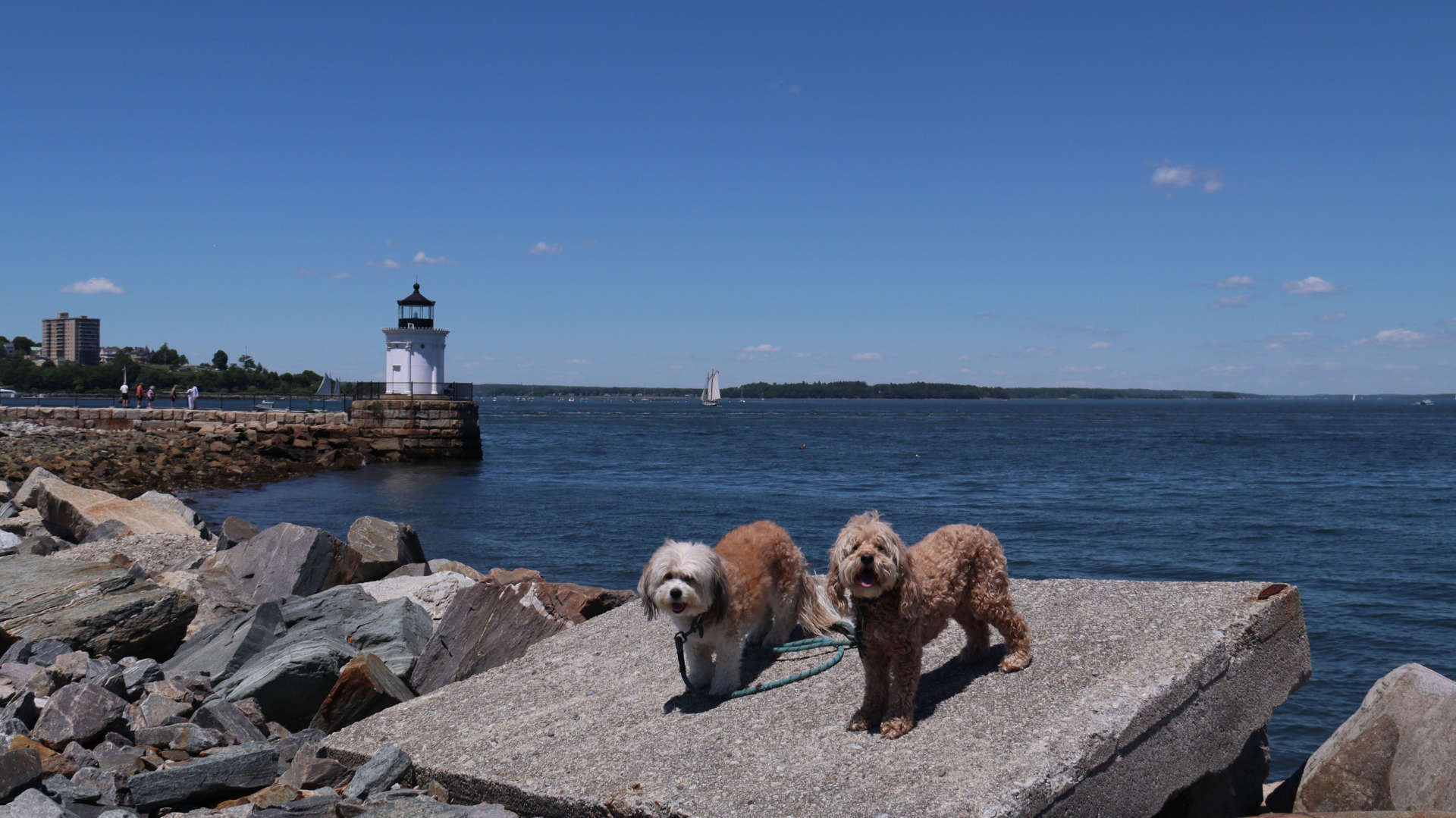 South_Portland