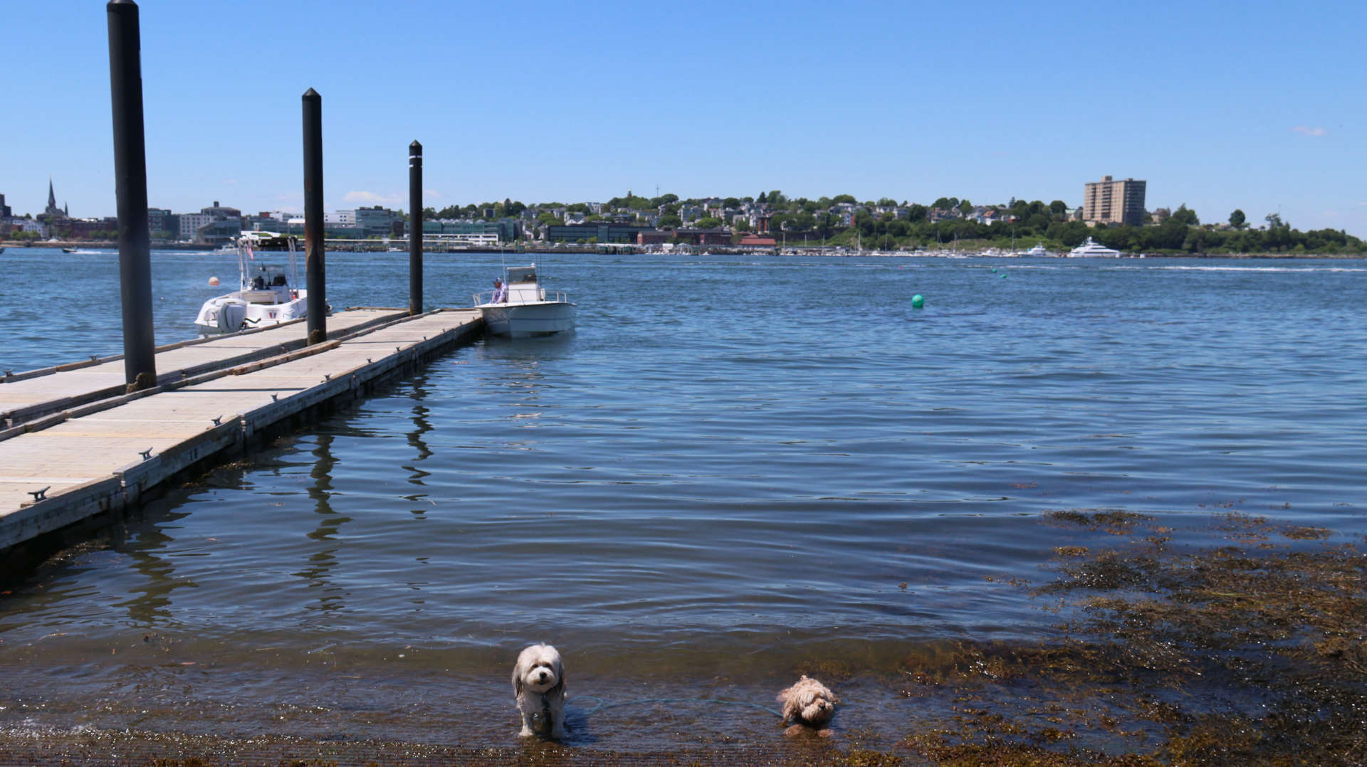 South_Portland10