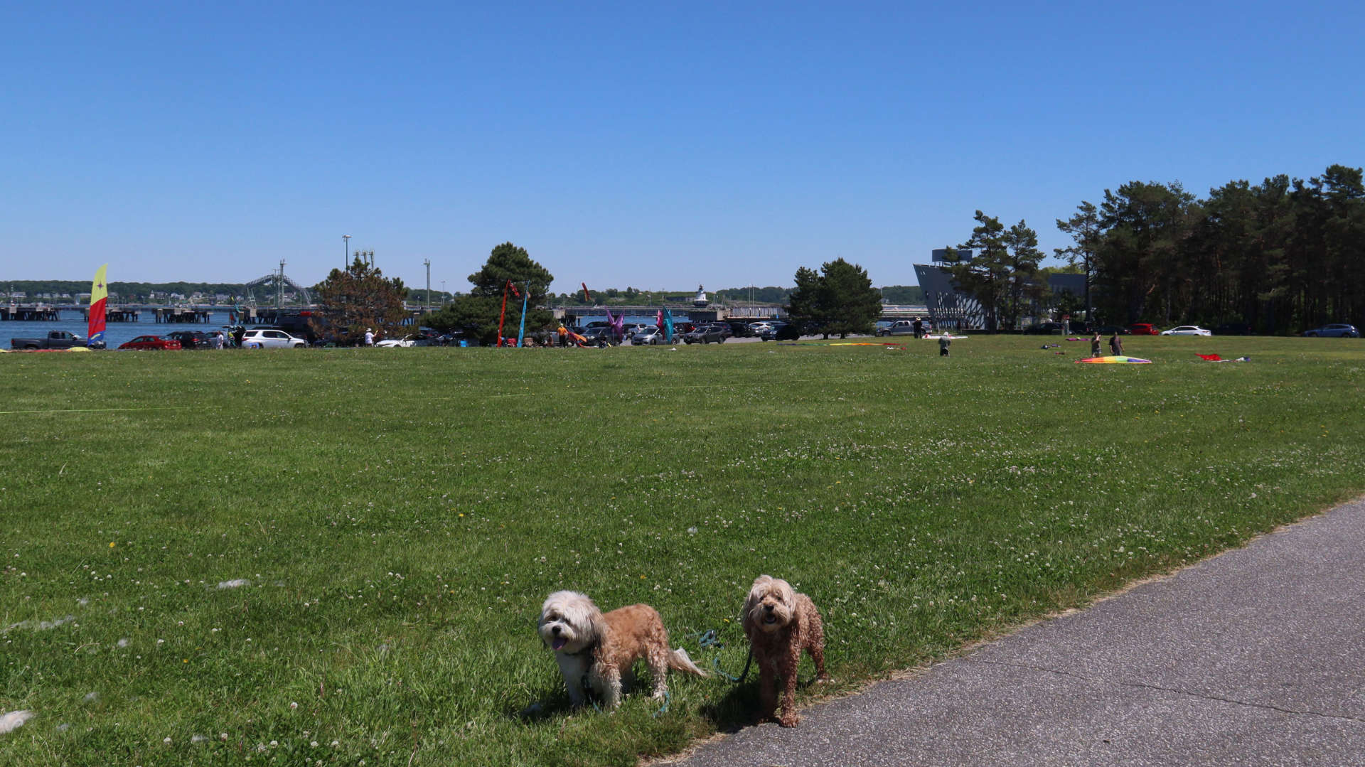 South_Portland11