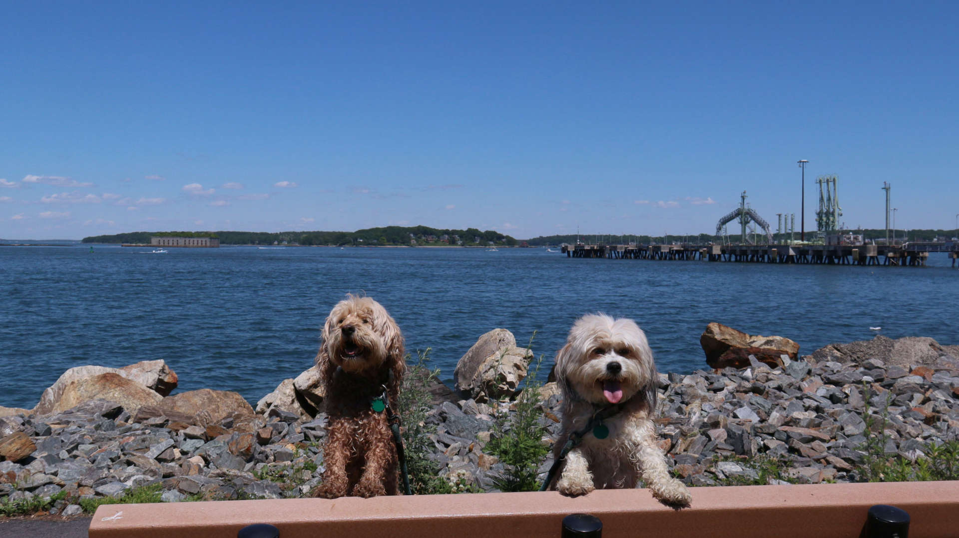 South_Portland15