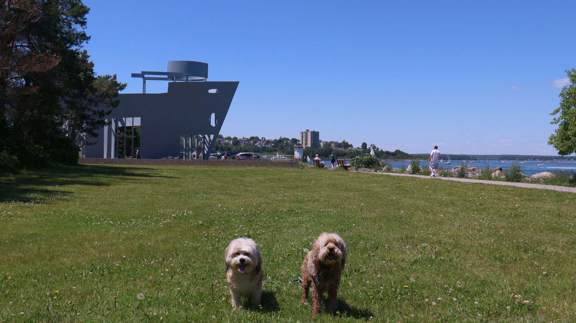 South_Portland16
