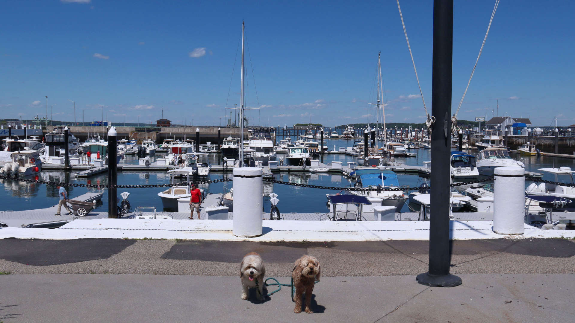 South_Portland20