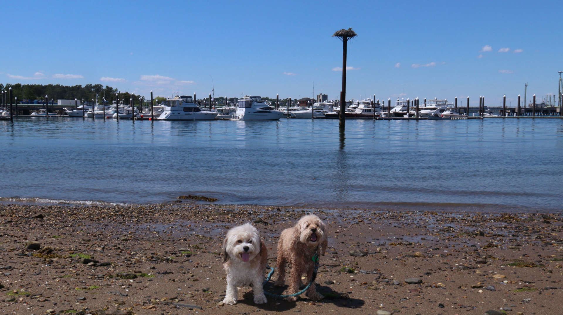 South_Portland23