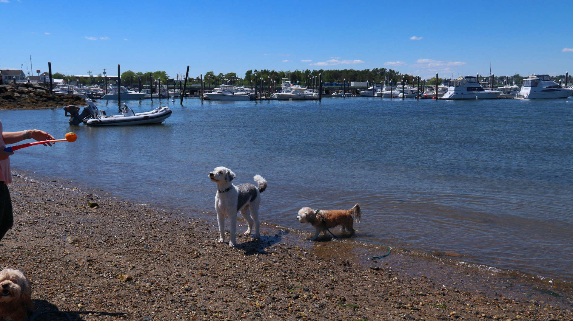 South_Portland25