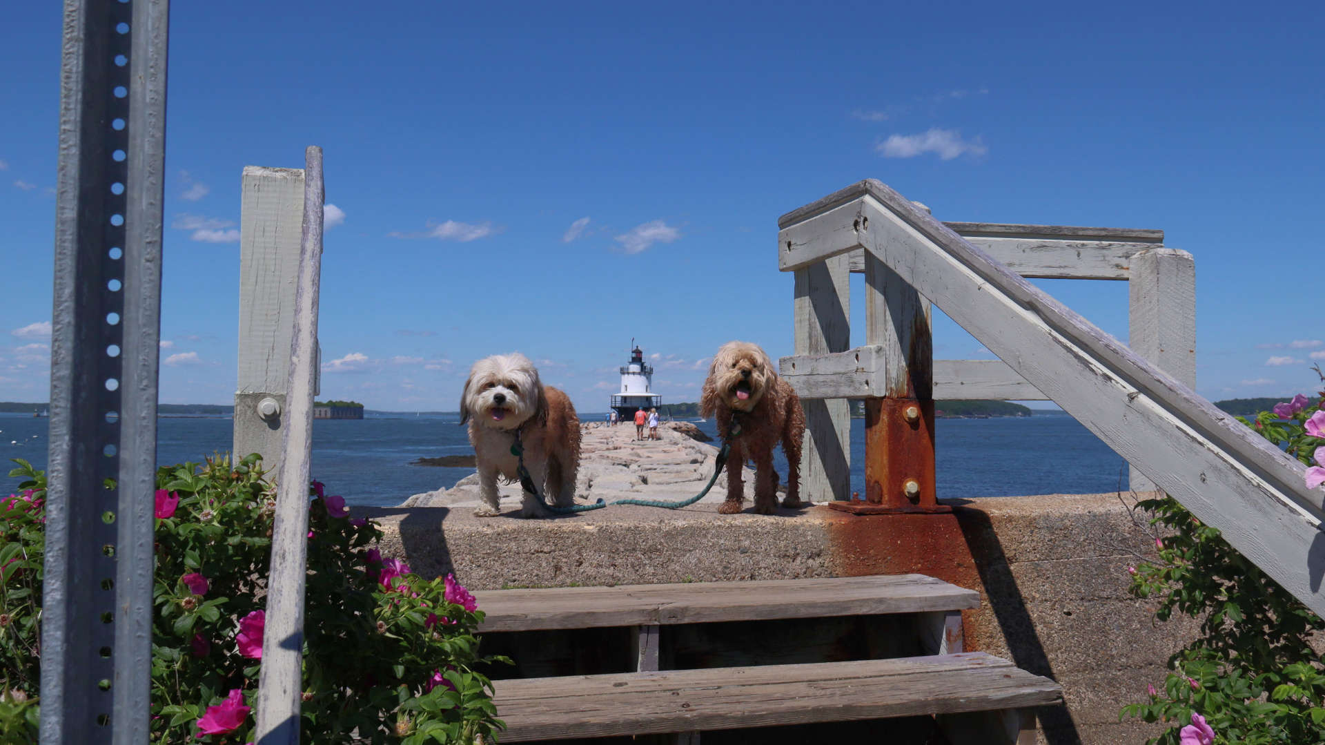 South_Portland39