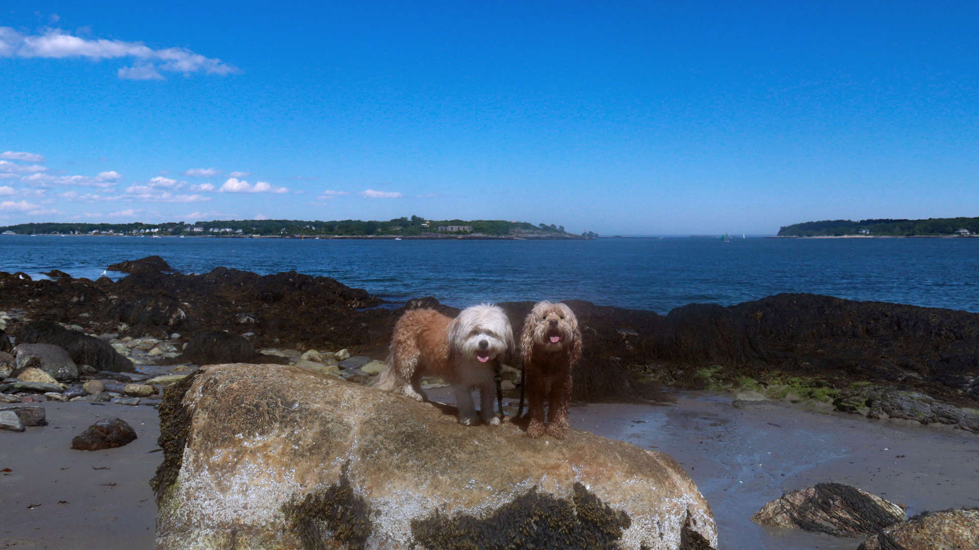 South_Portland49