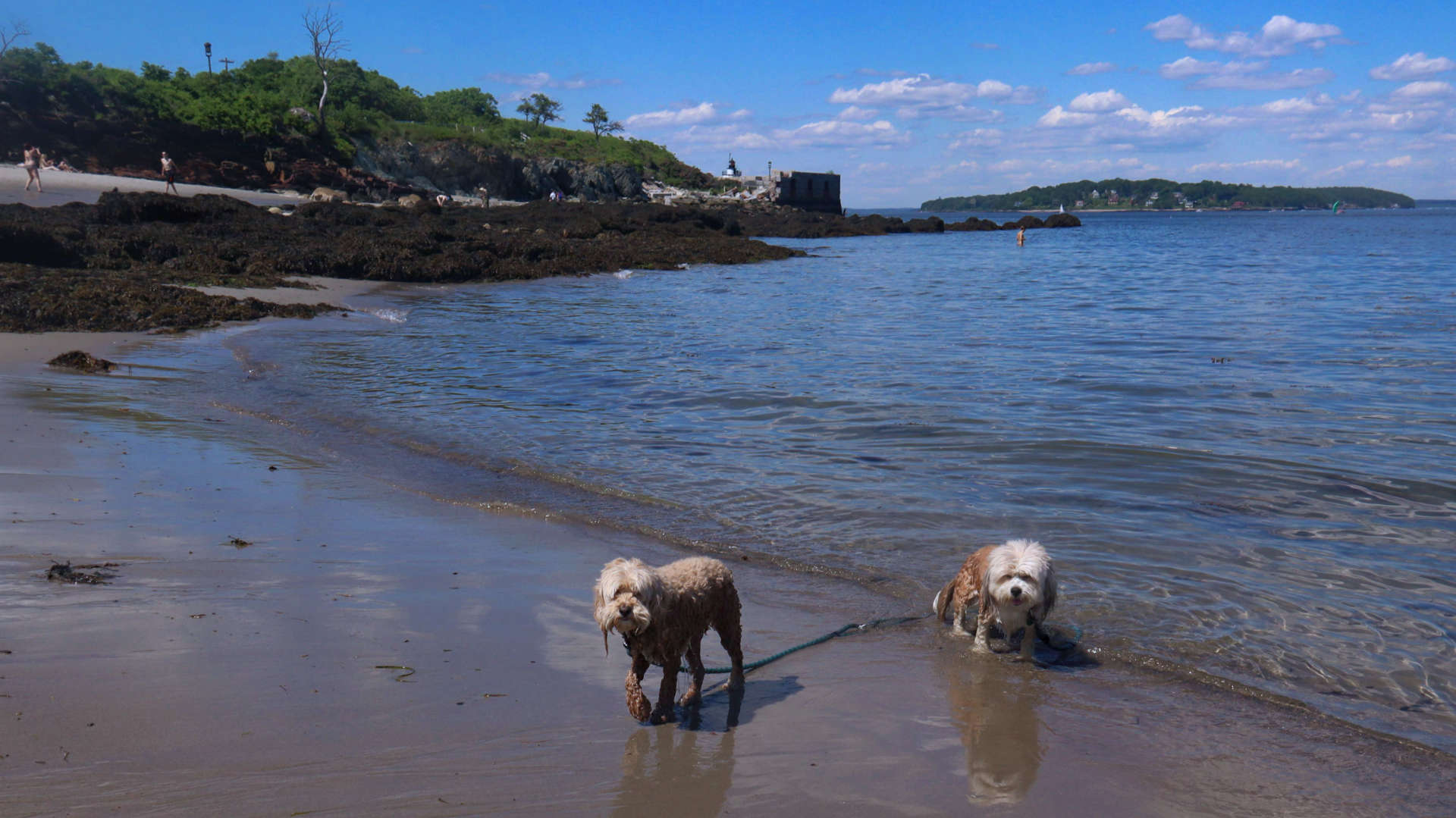 South_Portland52