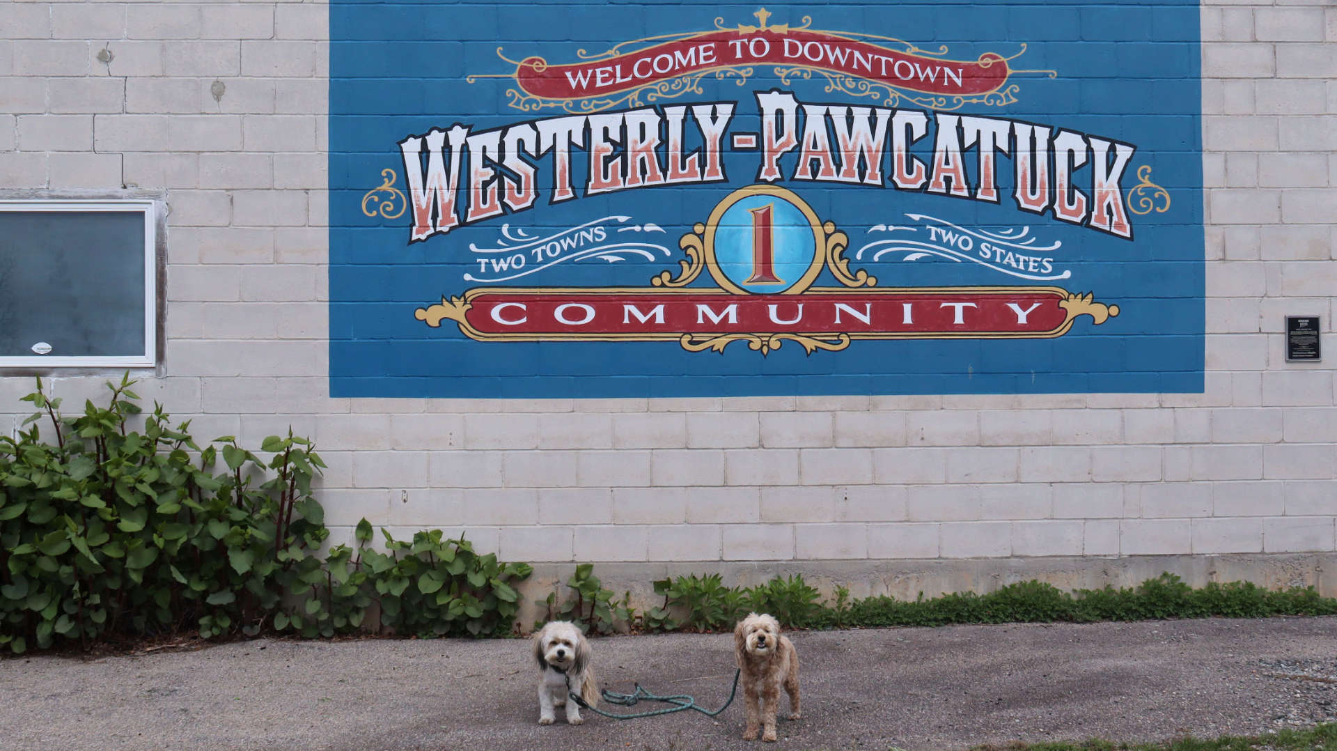 Westerly757