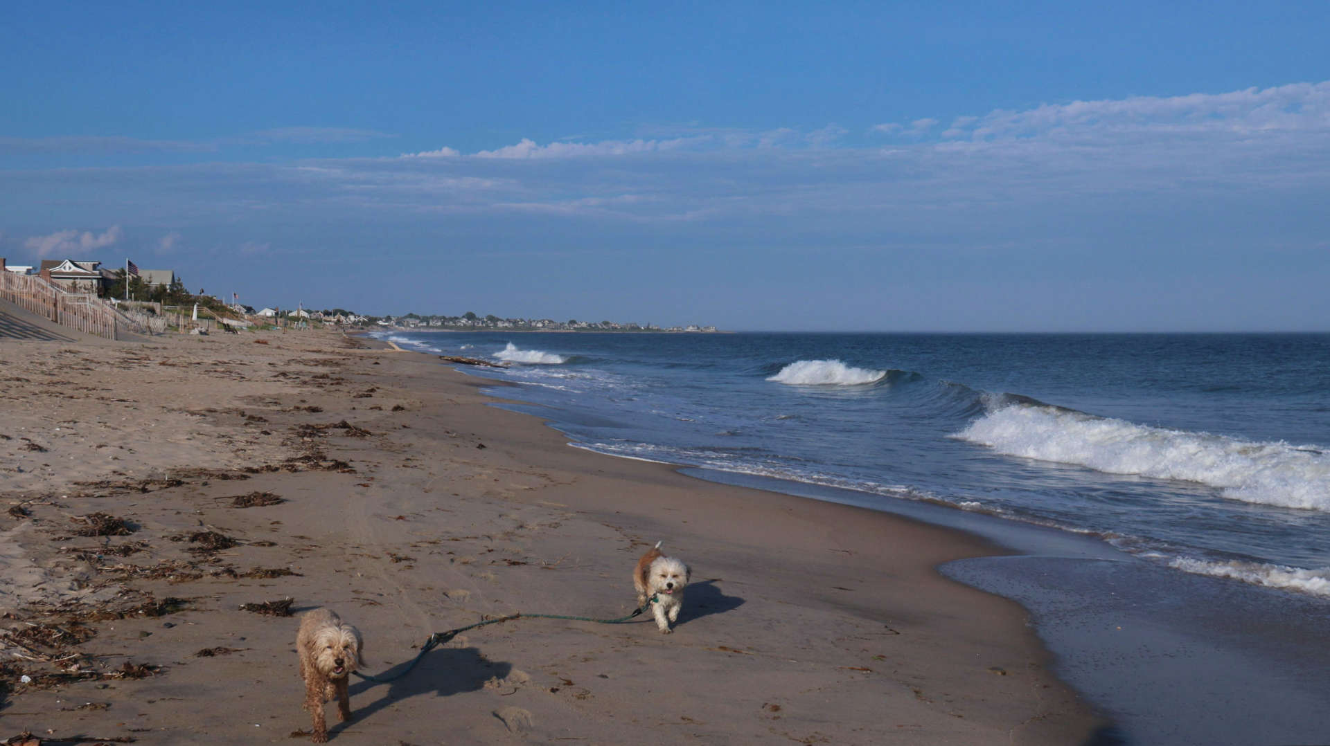Westerly804