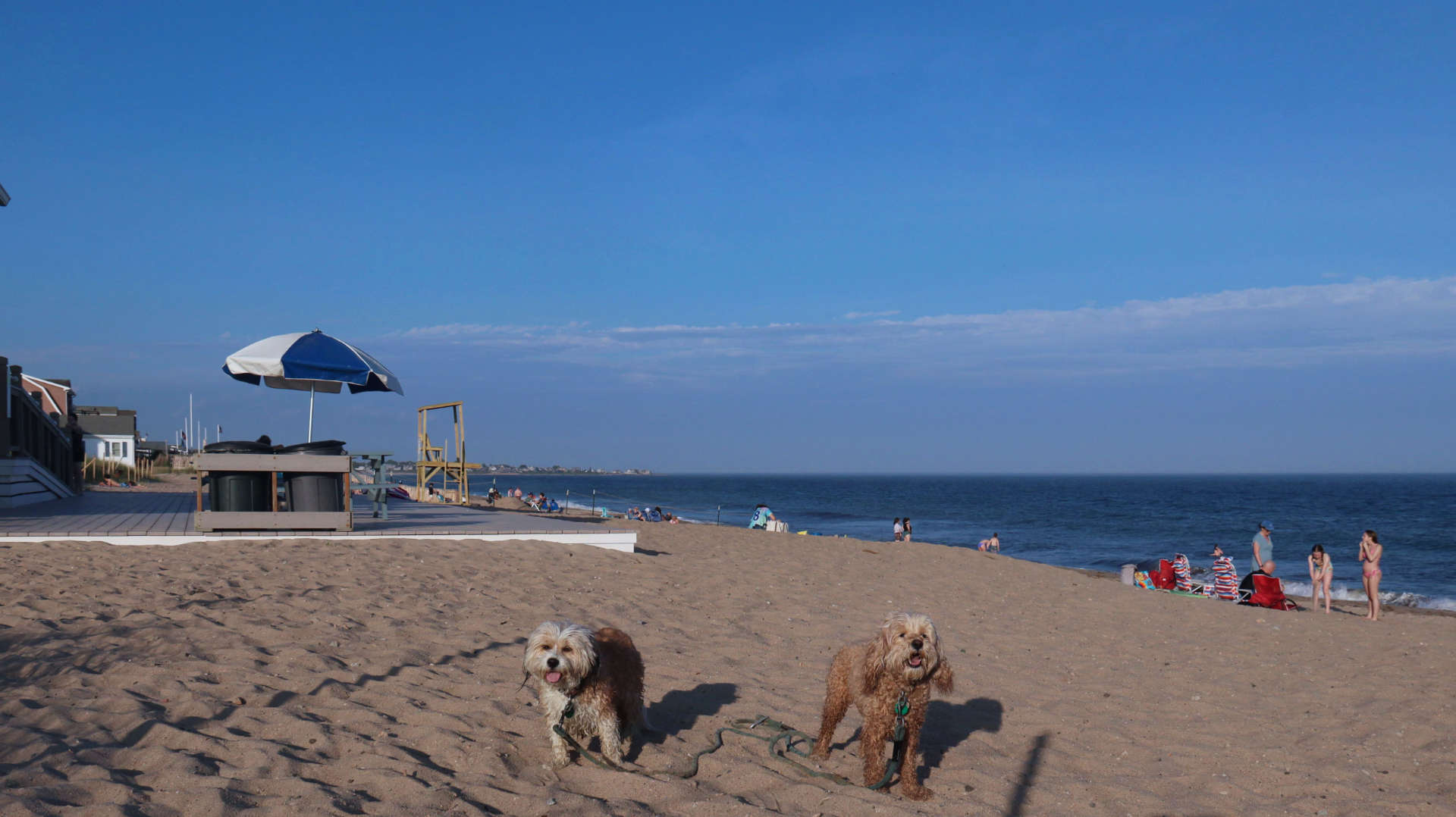 Westerly809