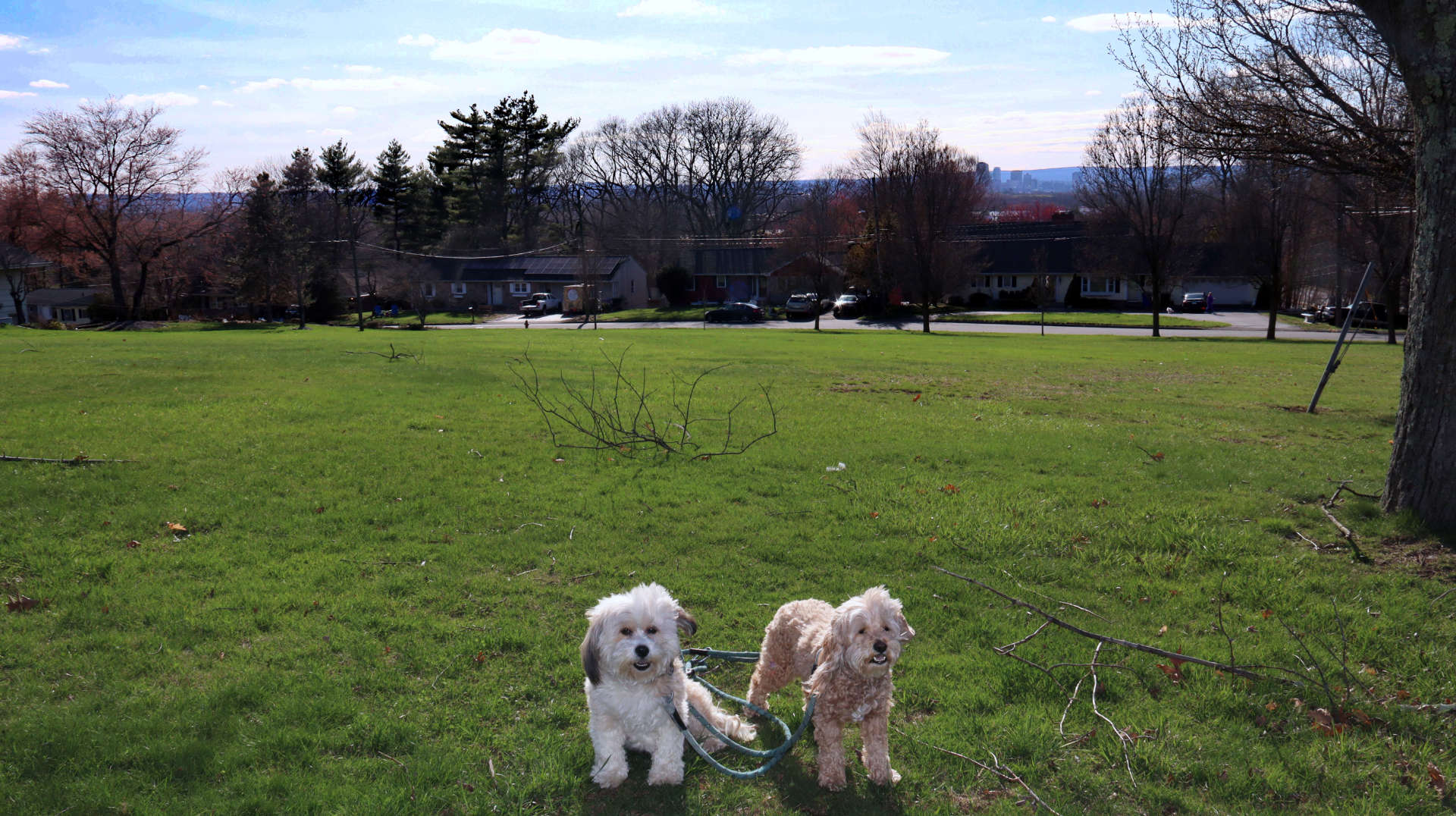 East_Hartford73