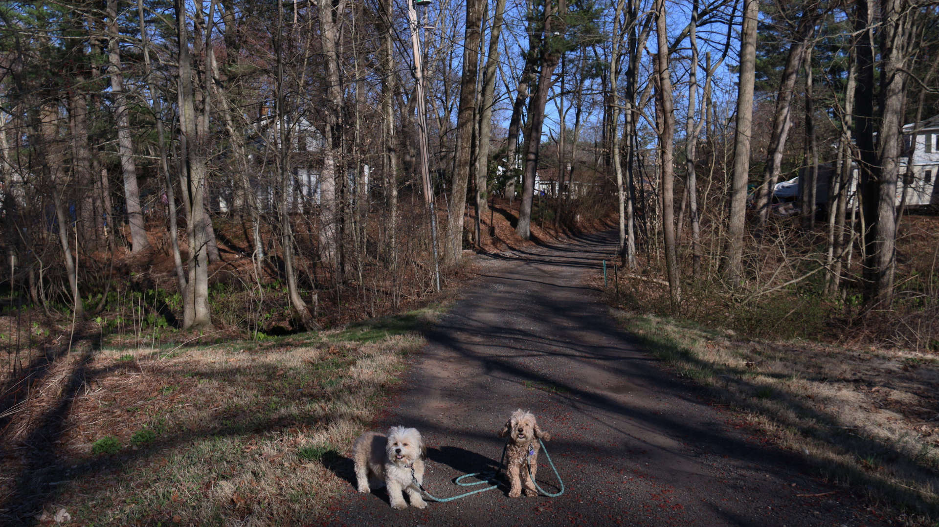 East_Hartford85