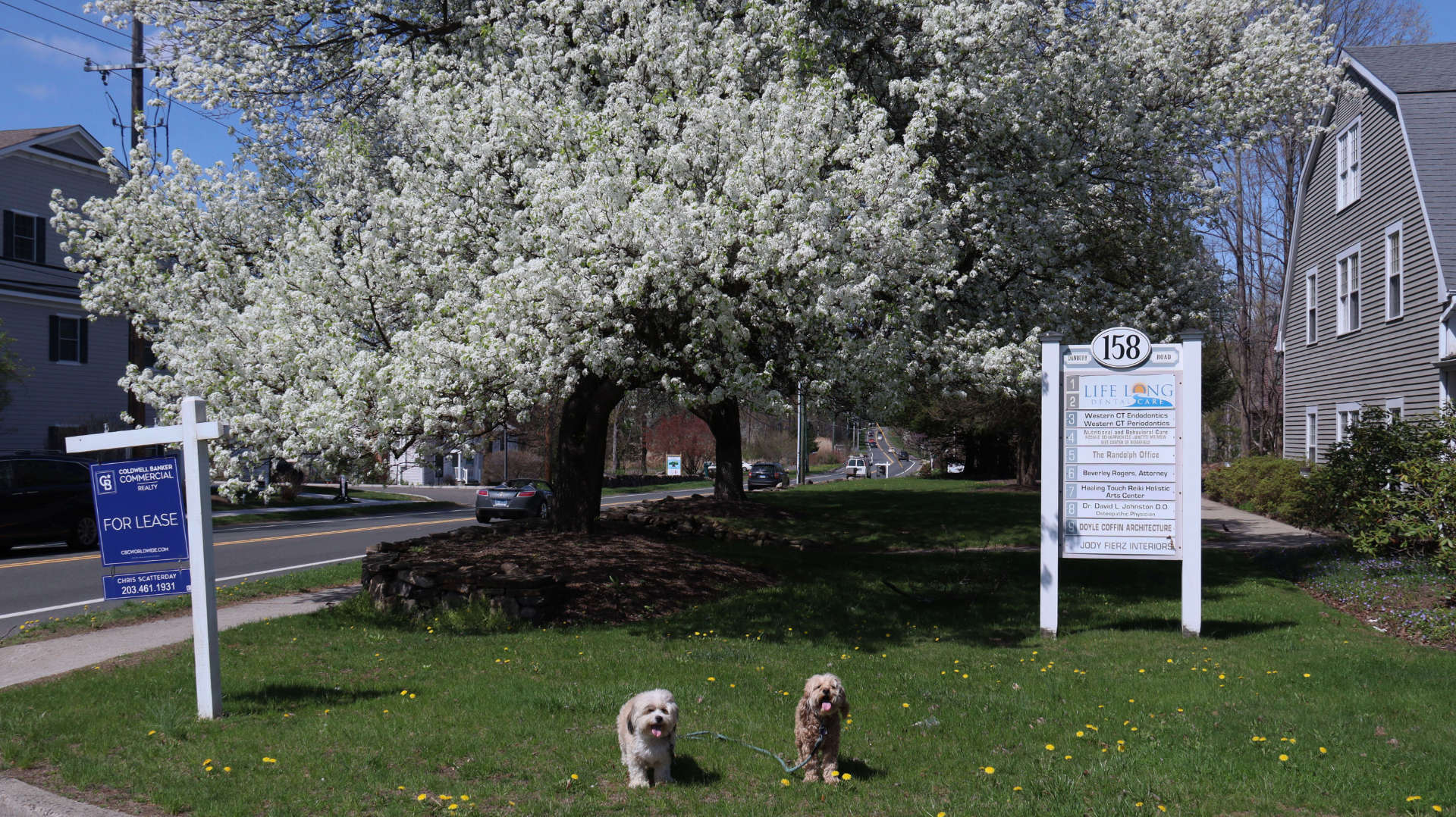 Ridgefield44