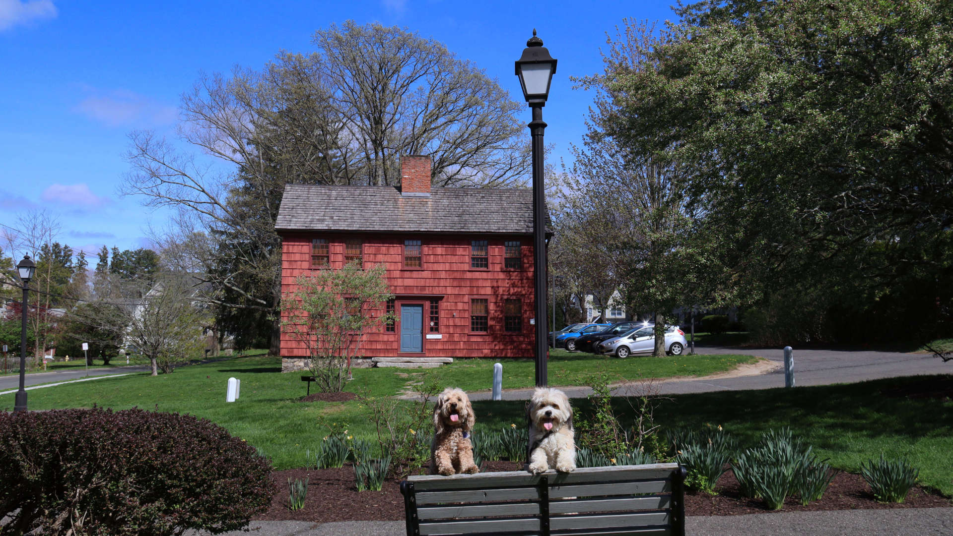Ridgefield46