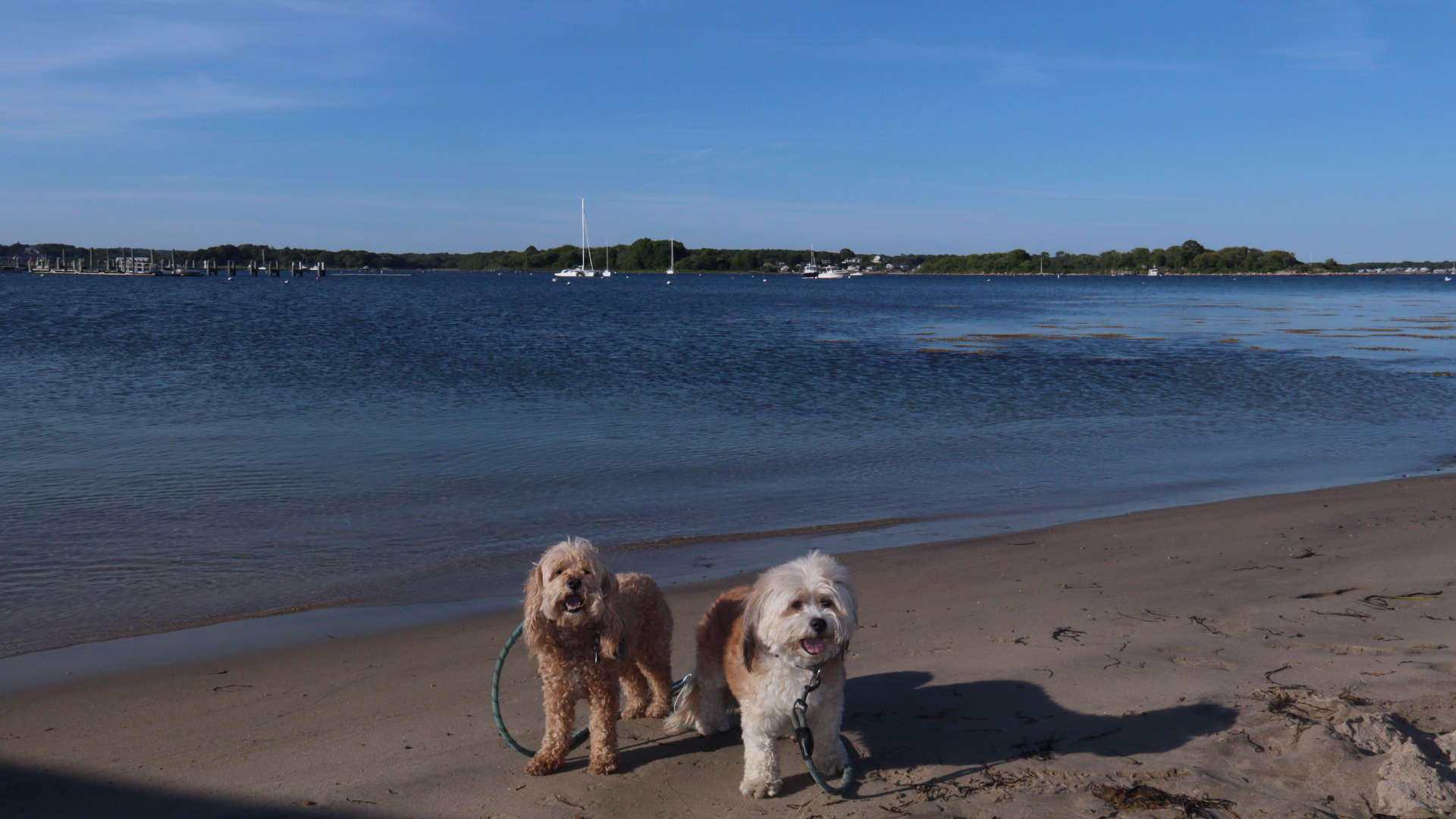 Stonington219
